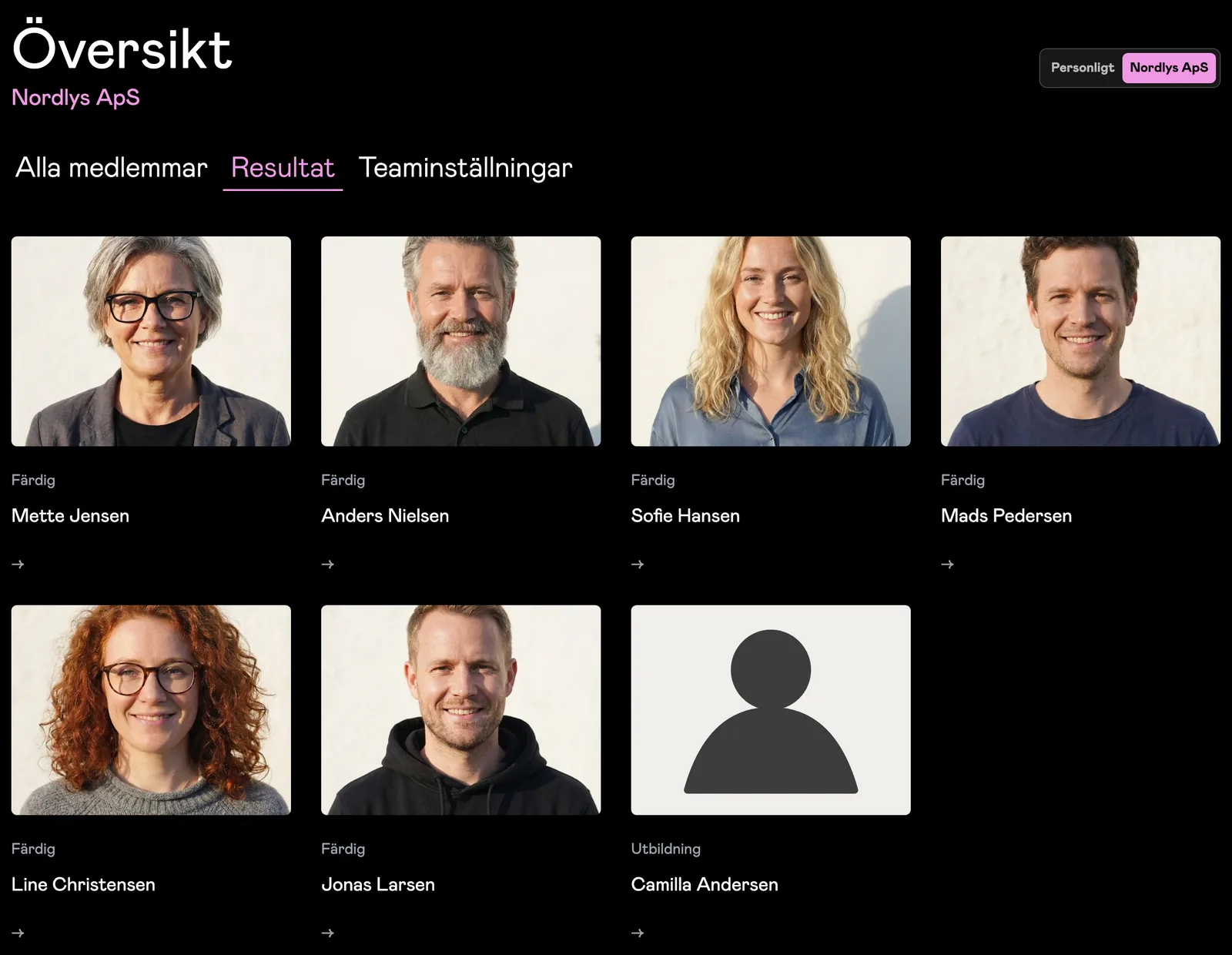 Adminpanelen i Headshots där teamets bakgrund, stil och medlemmar hanteras